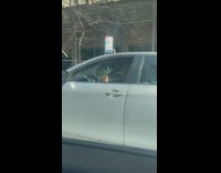 old man plays ukulele at stop sign while in car 