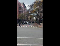 Nervous Man in Pigeon Costume Crosses Street