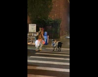 Hippie Guy Spins Ribbon with his Hippie Dressed Dog 