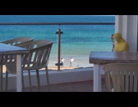 Two women in white top tiktok dance at the beach