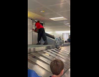 Passenger slides down luggage from baggage carousel 