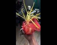 White onion sprout roots inside the net