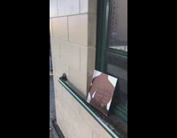 Nude painting left on the side on subway station