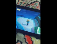 Animal crossing tiktok 