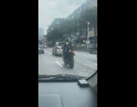 Dog wears helmet rides motorbike behind owner