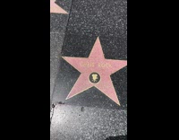 Guy slaps Chris Rocks star 