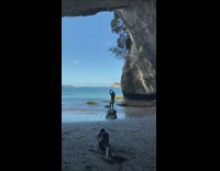 Yellow green shorts man on rock flex