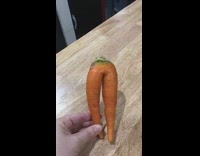 Carrot looks like human legs 