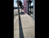 Girl walks dog pink wall coronavirus photoshoot