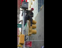 Red beanie guy sits yellow traffic light
