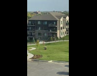 Two guys acrobatic pose grass large house