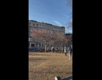 Woman yells at dog owners for taking over park part 2