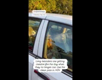 Car seat clothed with mask inside car