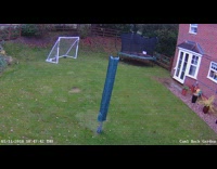 Squirrel outruns grey cat soccer goal backyard 