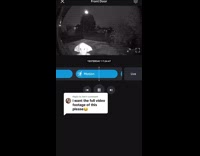 Dobby seen trick or treating on Halloween 