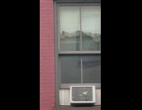 Rat Scurries by the Window and Climbs Up