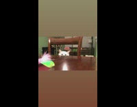 White cat sits chair peeks over table