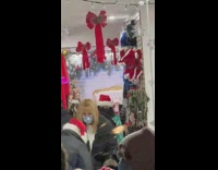 Long line for pets to take photo with Santa 