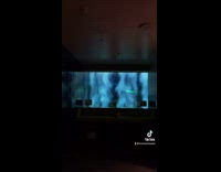 Collab BitchMP - Bathroom with fish shark tank mirror 