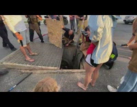 Firemen find and rescues duck that fell on the drain