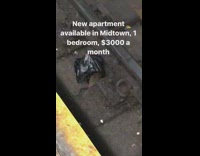 New apartment available in midtown, 1 bedroom, $3000 a month