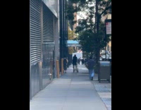 Collab WINY - Man black shirt ride trolley on sidewalk