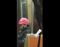 Man pink red hat brushes teeth on subway train