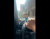 Collab WINY - Truck slammed into tree uprooting it 