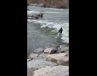 Man surfs with surfboard on spring waters