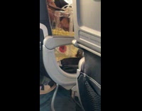 Woman rides plane cake buckled for flight