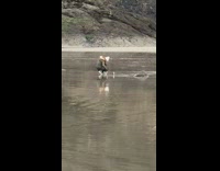 Woman green winter coat soda can lake