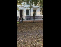 Balance baby hand in park dad leaves