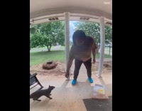 Man delivering groceries stretches cat on porch