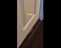 Collab BitchMP - Kid with fingers under door 