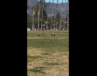 Woman in jean jacket weird dance on the park