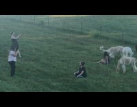 Two girls sit brown white alpaca llama