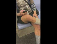 Guy with pet rat on lap subway