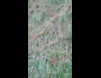 Guy shows finger shaped mushroom grass backyard 