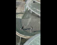 Woman checkered coat handbag walk pose deck