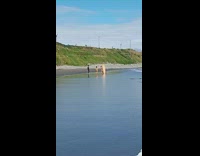Three people beach surfboard sand water