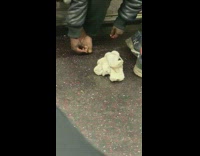 Collab Subway Creatures - Man massages bare foot and pick under toenails on subway train