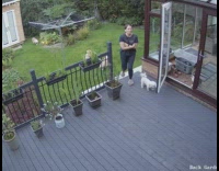 Collab BitchMP - Securtiy camera backyard dog