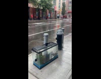 Submitter shows aquarium left beside fire hydrant