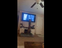 Dog watching tv jump scare