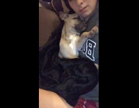 brown dog lays against girls chest