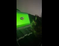 Collab Clips MPUGC - Cat confused by spinning video kitten