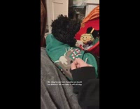 Collab Kale Salad IG - Dog growls if girl takes off sweater