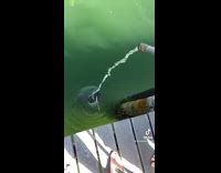 Friend ruins video guy is filming mom 