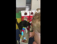 Black white cat watches baby boy play 