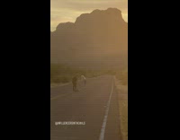 White hat girl jumps middle road sunset 